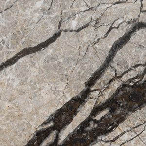 Silver Roots